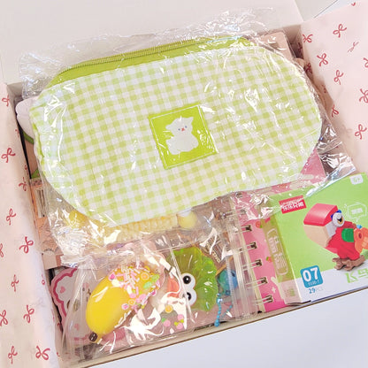 Themed Mystery Gift Box